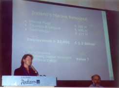Fiona Fitzpatrick, Survey Manager, MI, presents to the gathered audience 