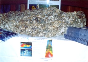 Synsedimentary Lithified Carbonate Rock, taken by the Logachev in Spetember 2003 from a depth of 700m west of the Porcupine Bank